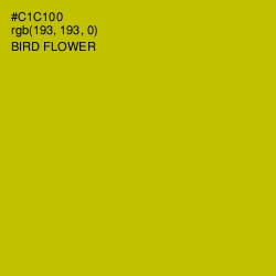 #C1C100 - Bird Flower Color Image